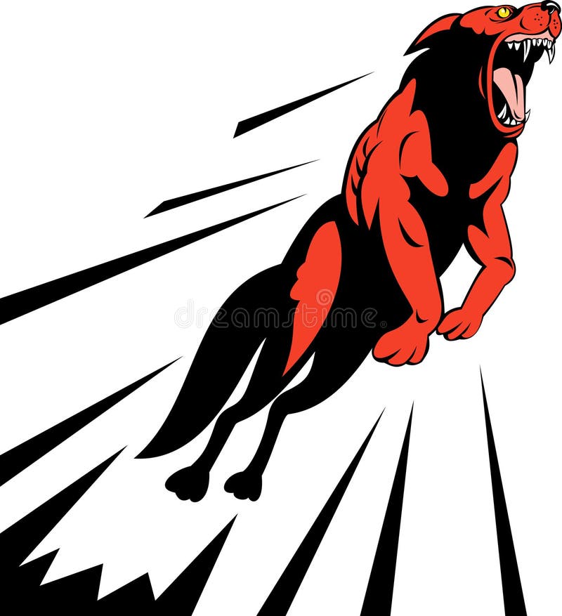 Vector illustration of a red wolf or wild dog isolated on white background. Growling dog illustrations