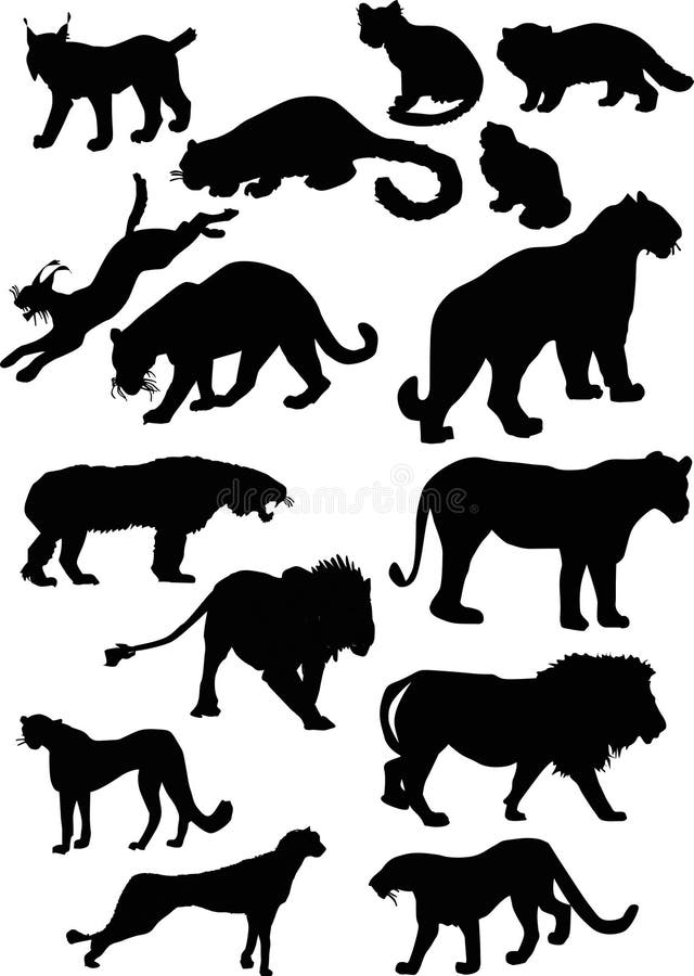 Wild Felidae silhouettes stock illustration