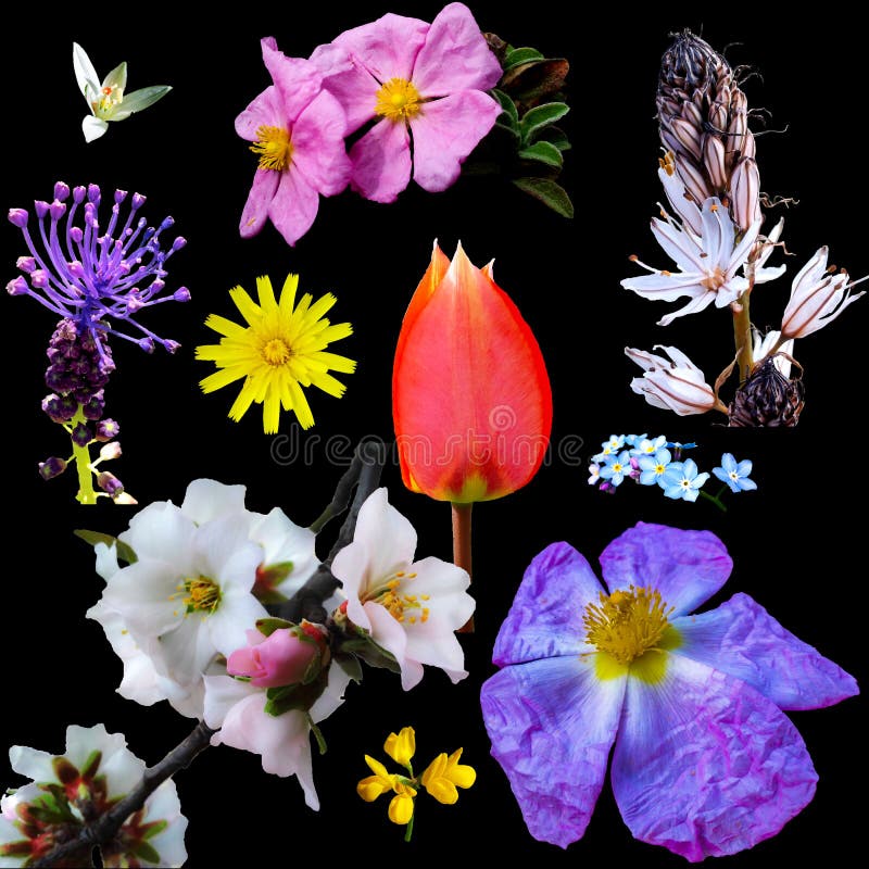 My Image 23