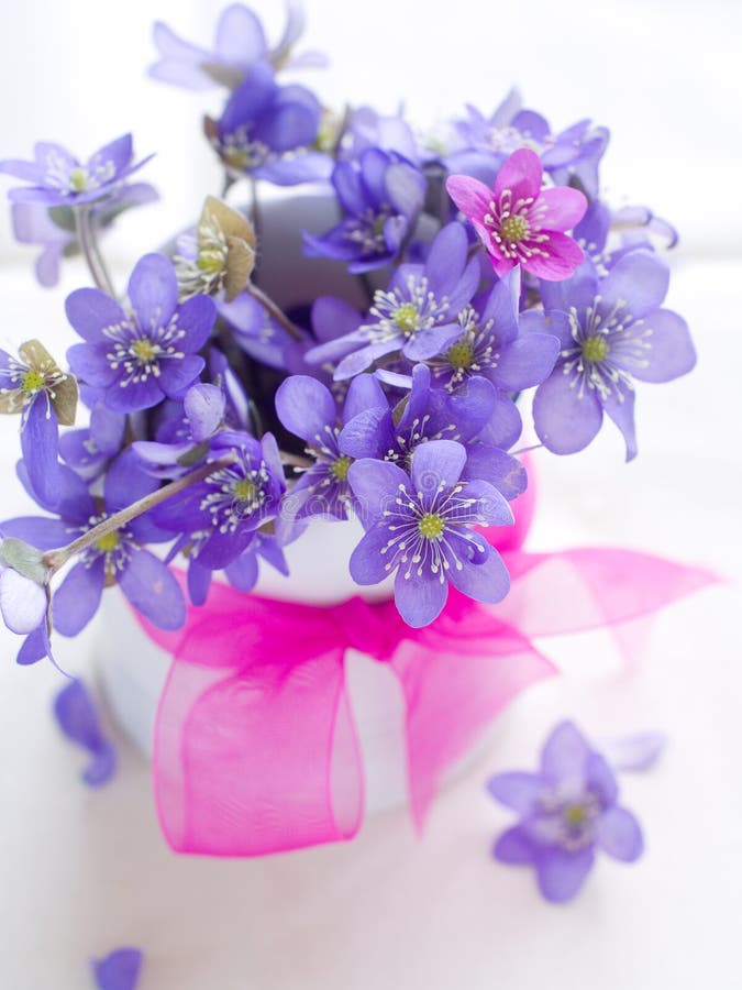 Wild flower stock image