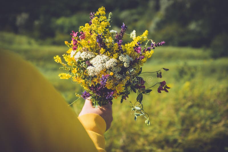 3,720 Bouquet Wild Flower Set Stock Photos - Free & Royalty-Free Stock ...