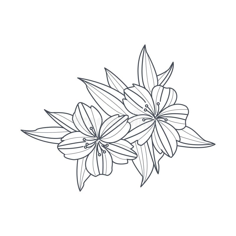 Simple Flower Drawing – Tutorial | The Drawing Journey
