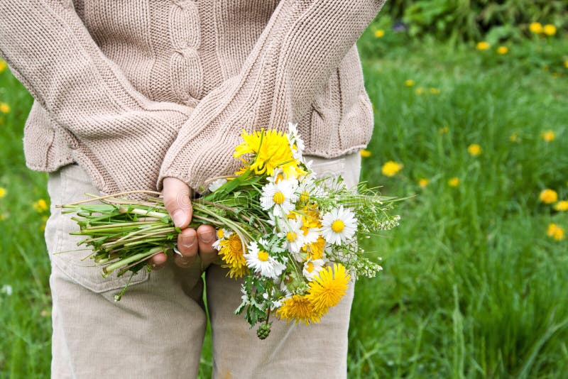 Wild flowers stock photo. Image of garden, yellow, girl 30929784