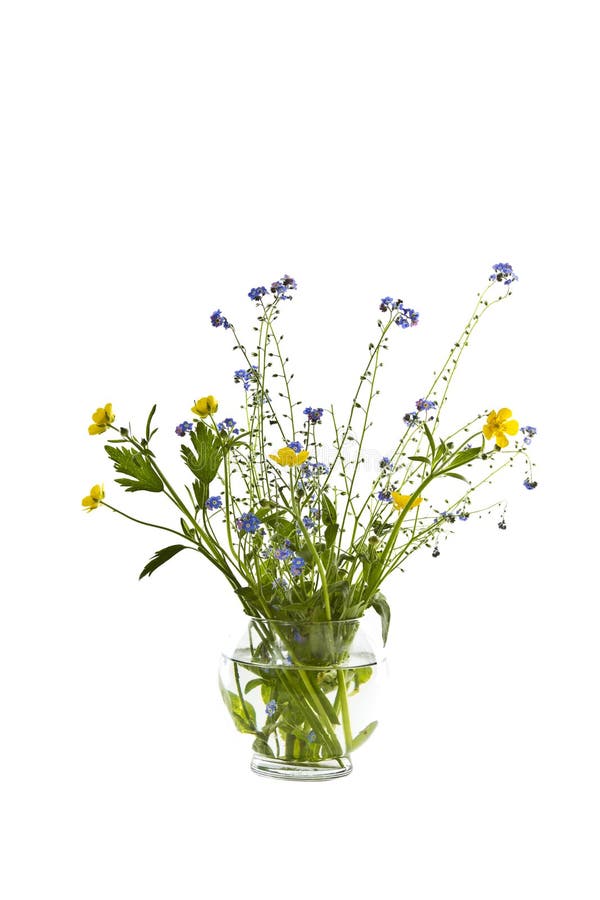 Wild Flowers in Glass Vase