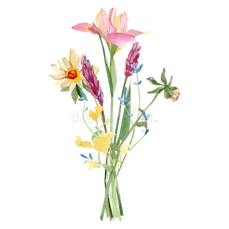 Wild flowers watercolor illustration. Hand painted wildflowers bouquet arrangement botanical art with meadow flowers, leaves, stem stock photo Wild flowers watercolor illustration. Hand painted wildflowers bouquet arrangement botanical art with meadow flowers, leaves, stem stock photo