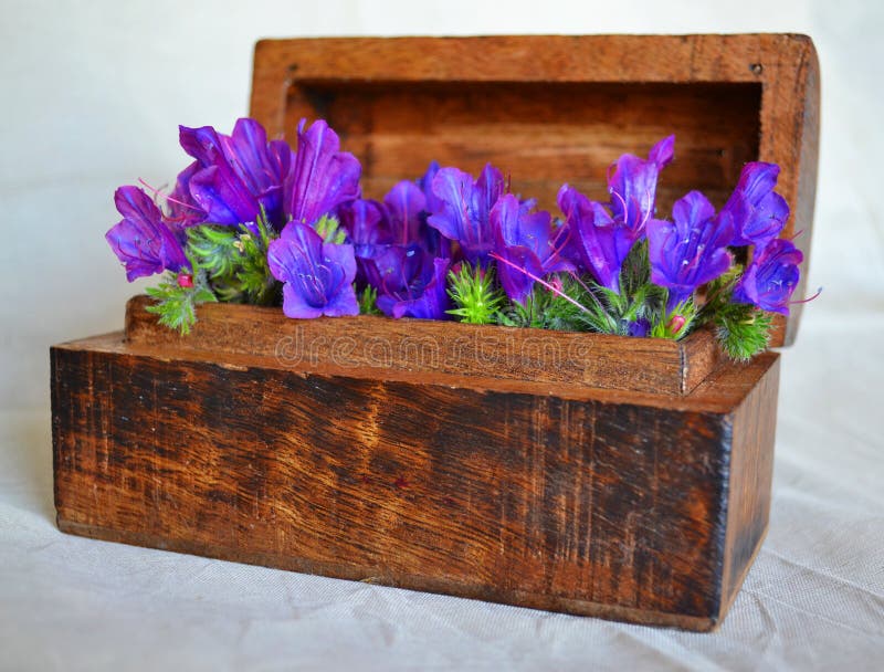 Wild Flowers Wooden Box stock image. Image of antique 24311985