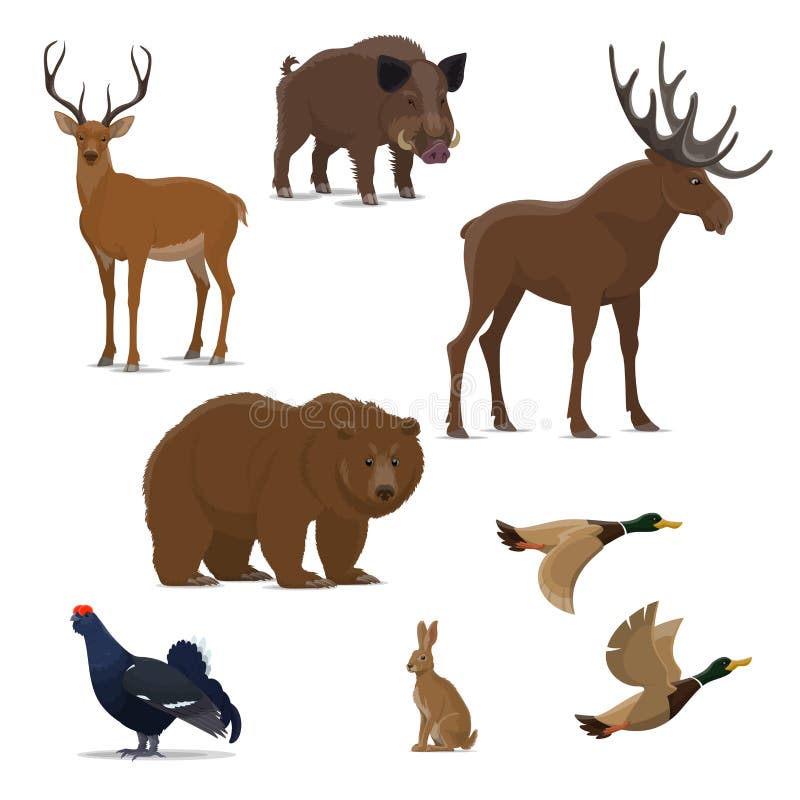 Wild Hunting Stock Illustrations – 72,056 Wild Hunting Stock