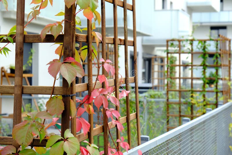 View of Large Cozy Apartment in White Sails Near the Pool - Airbnb
