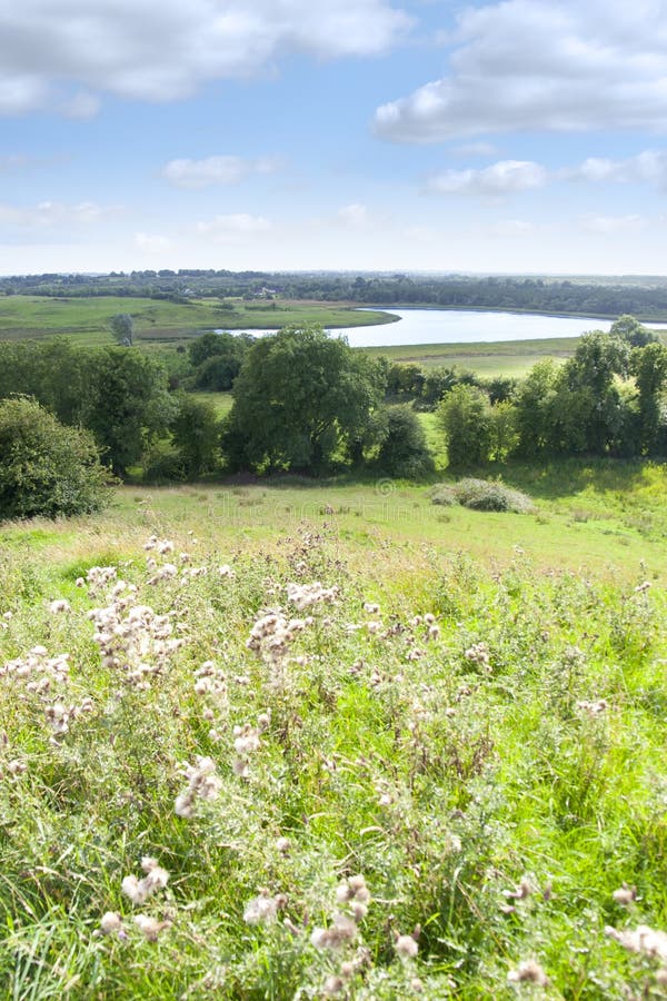 Wild green Longford farmland