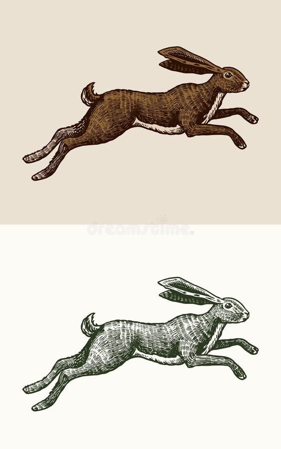 Hare Running Stock Illustrations – 2,651 Hare Running Stock Illustrations, Vectors & Clipart - Dreamstime Hare Running Stock Illustrations – 2,651 Hare Running Stock Illustrations, Vectors & Clipart - Dreamstime
