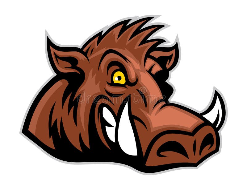 Wild Hog Head Stock Vector - Image: 50677871