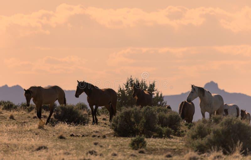 Sunset on Utah Lake stock image. Image of dusk, calm 27899171