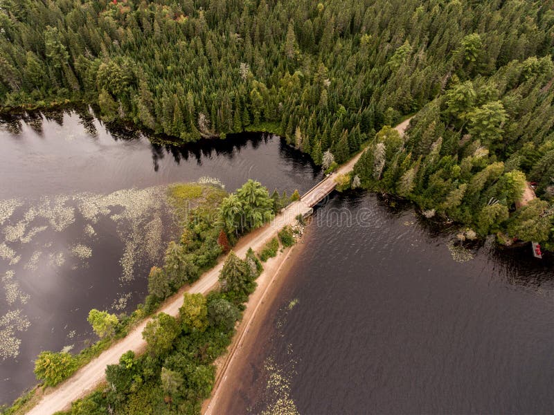 wild forest canada aearial view kayak kayaking canoe