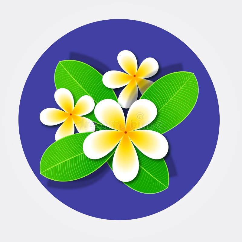 Wild Jasmine Realistic Illustration Drawing Stock Illustration