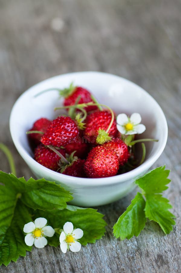 Wild strawberries in white bowl on wooden background. Wild strawberries in white bowl on wooden background