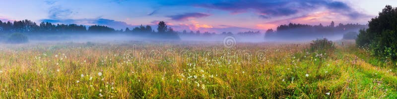 Wild mistig weidelandschap royalty-vrije stock afbeeldingen Wild mistig weidelandschap royalty-vrije stock afbeeldingen