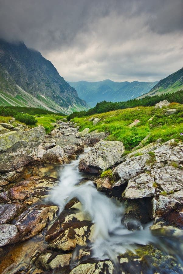 Wild mountain creek in Hlinska dolina valley in High Tatras