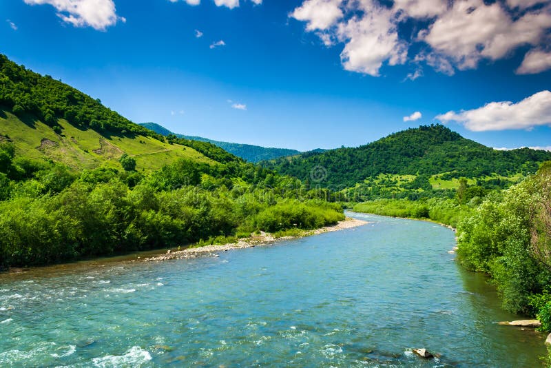 Wild mountain river on a clear summer day