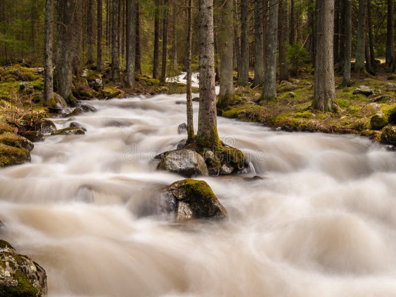 Wild mountain river in Slovakia