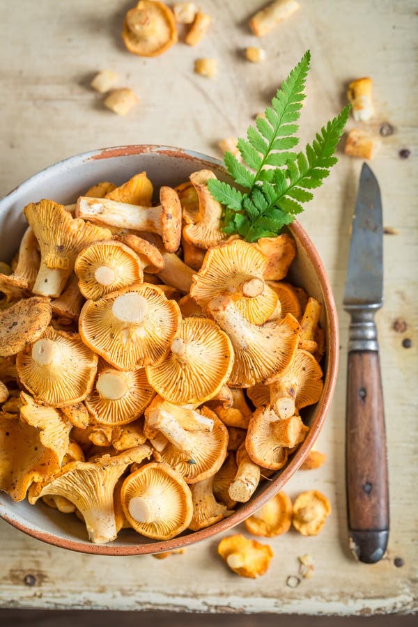 Wild mushrooms in an old clay bowl stock image Wild mushrooms in an old clay bowl stock image