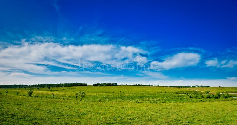 Wild nature panorama