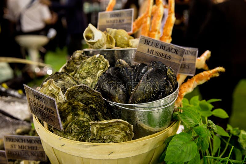 Oysters in Bucket stock image. Image of appetizer, shellfish 13795611