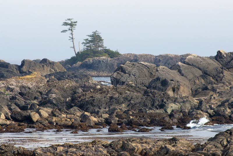 Wild Pacific Trail, Ucluelet, BC