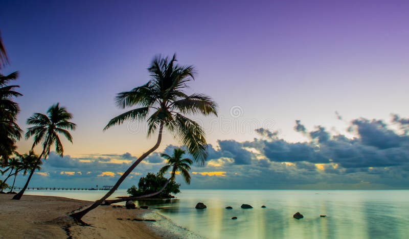 868 Islamorada Stock Photos - Free & Royalty-Free Stock Photos from Dreamstime 868 Islamorada Stock Photos - Free & Royalty-Free Stock Photos from Dreamstime