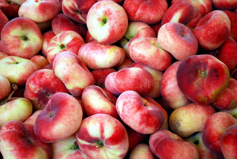 Wild peaches stock photo. Image of vineyard, juicy, market 10440620