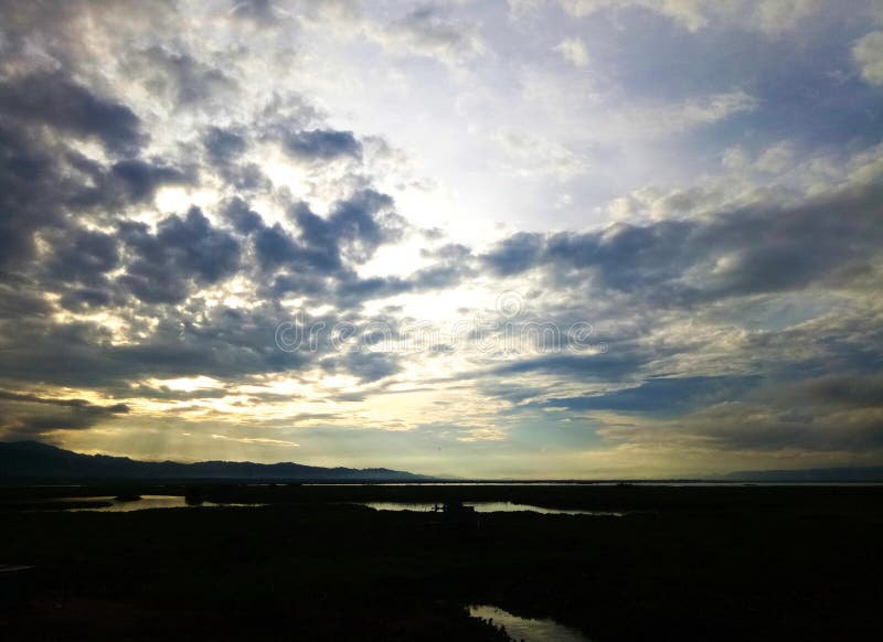Wild Plants that Grow on the Banks of the River Stock Image Image of