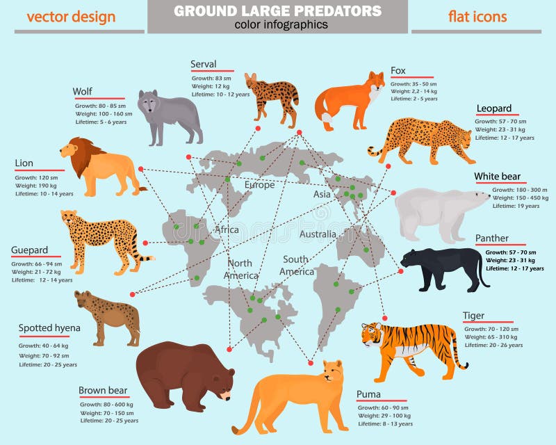 Wild Predators Their Habitat Growth Weight And Longevity Color wild-predators-their-habitat-growth-weight-and-longevity-color