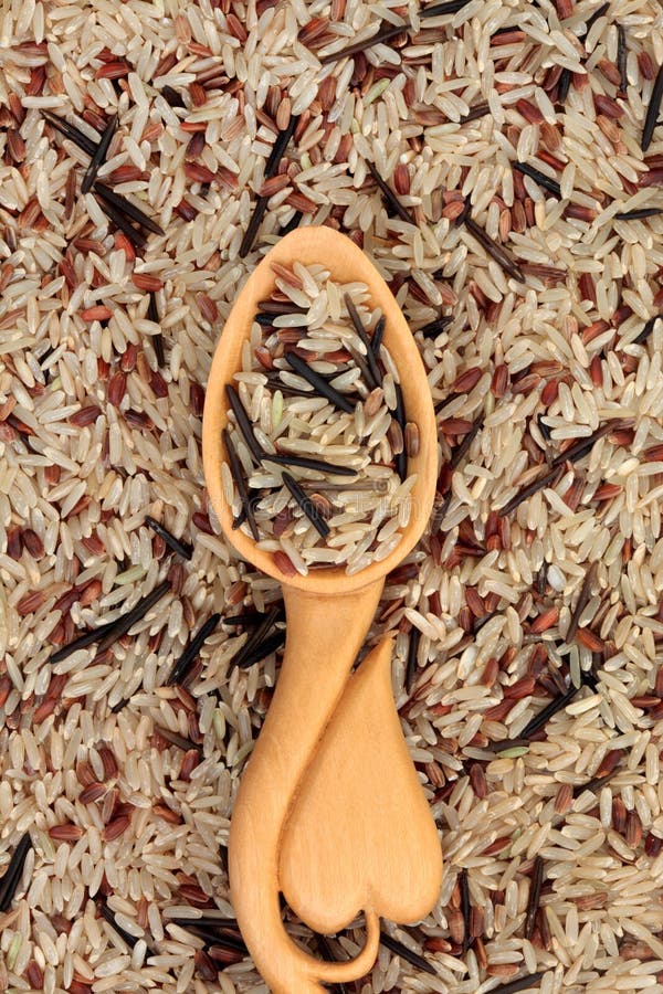 Wild Rice stock photo. Image of wholefood, staple, healthy 25619718