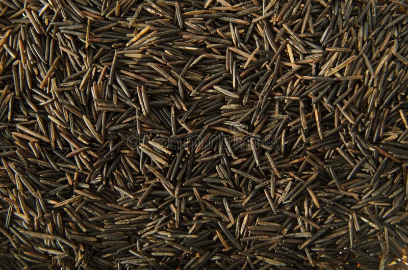 Wild Rice stock photo. Image of wild, background, food 31490928