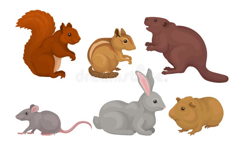 Wild Rodent Animals Set, Squirrel, Mouse, Beaver, Cavy, Rabbit, Chipmunk Vector Illustration