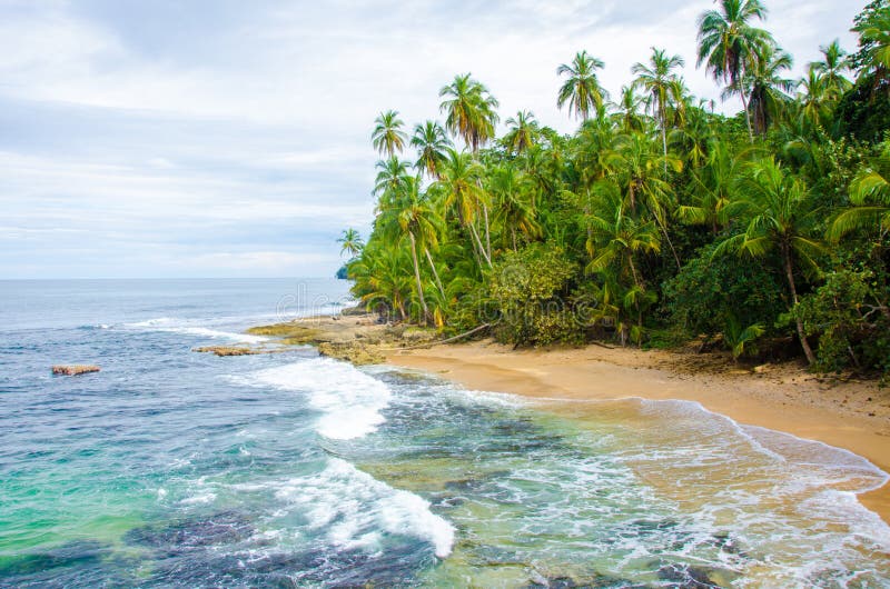 Wild Strand Manzanillo in Costa Rica Stock Foto Image of kustlijn
