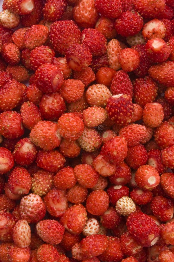 Wild strawberries background