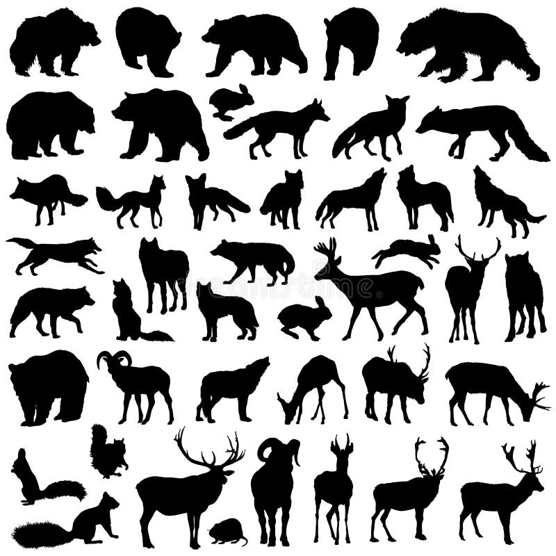wild vektor för silhouette för djursamlingsskog stock illustrationer wild vektor för silhouette för djursamlingsskog stock illustrationer