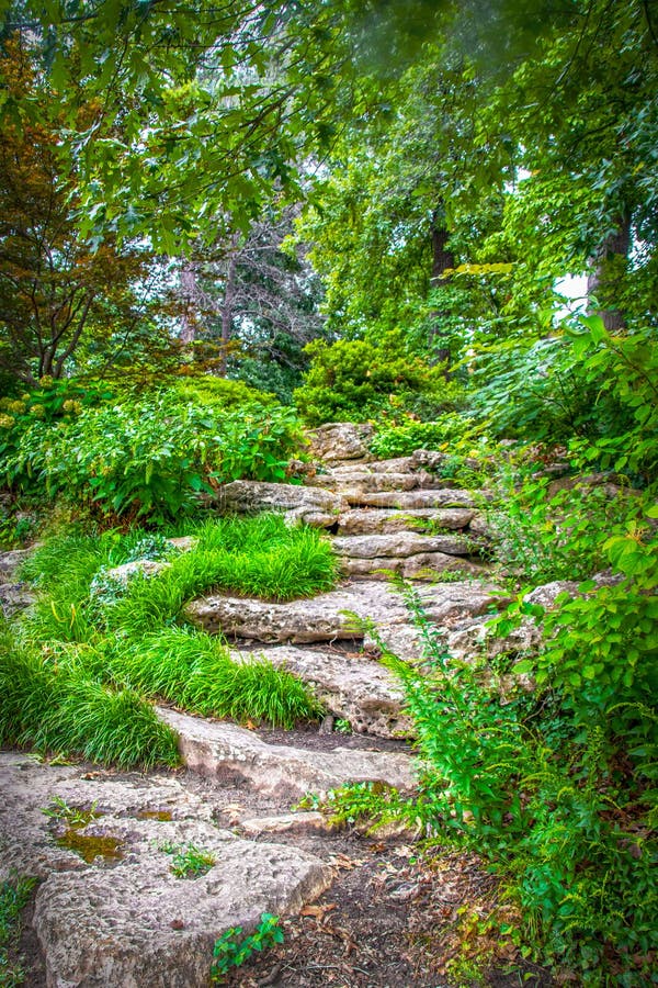 Wooden Steps On A Steep Hillside In The Forest Stock Photo, Picture and  Royalty Free Image. Image 36876055.