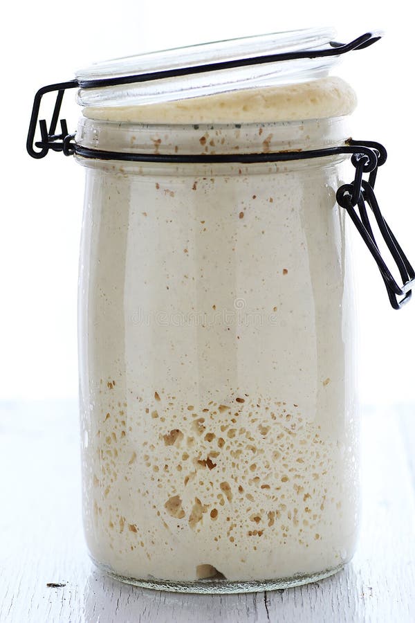 Wild Yeast Sourdough Starter