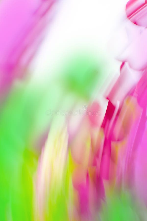Wilde bloem op de achtergrond van de weide blurry. gevarieerd wazig beeld van bloemen stock afbeelding Wilde bloem op de achtergrond van de weide blurry. gevarieerd wazig beeld van bloemen stock afbeelding