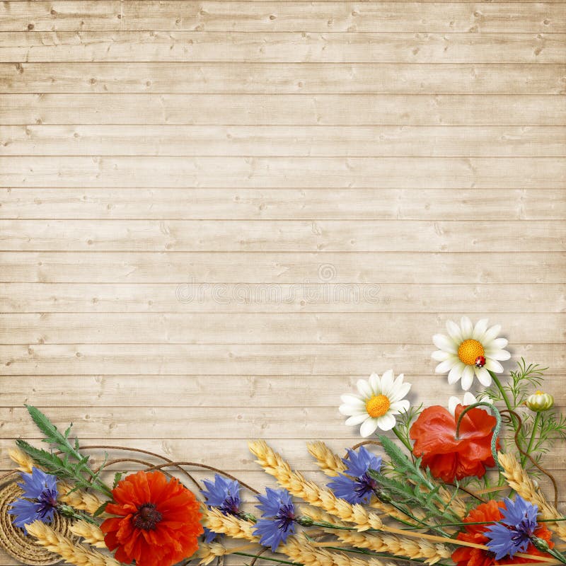 Border of wildflowers, spikelets, chamomiles, cornflowers and poppies on a wooden background with space for photo and text. Border of wildflowers, spikelets, chamomiles, cornflowers and poppies on a wooden background with space for photo and text