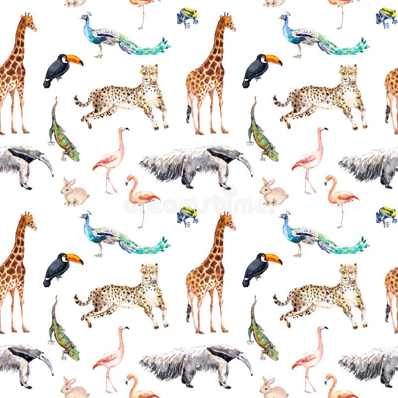 Wilde dieren en vogels - dierentuin, het wild - giraf, jachtluipaard, toekan, flamingo, andere Naadloos patroon watercolor stock illustratie Wilde dieren en vogels - dierentuin, het wild - giraf, jachtluipaard, toekan, flamingo, andere Naadloos patroon watercolor stock illustratie