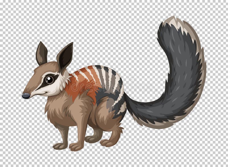 Wilde numbat op transparante achtergrond royalty-vrije illustratie Wilde numbat op transparante achtergrond royalty-vrije illustratie
