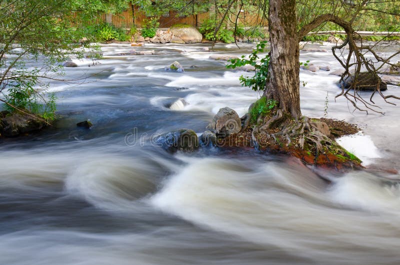 Wilde rivier Zweedse cascades royalty-vrije stock afbeelding