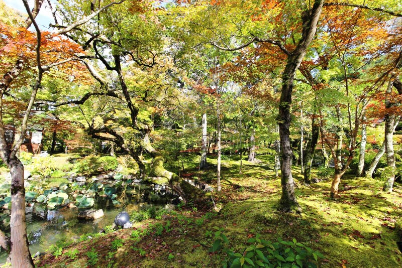 Wilder Garten stockbild. Bild von stein, dorf, europa