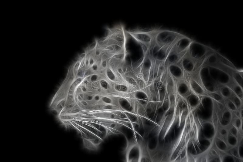 Leopard In Schwarzweiss Mit Blauen Augen Stockbild Bild Von Verzierung Park