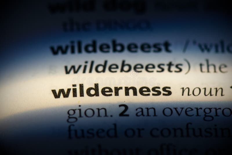 Wilderness word in a dictionary. wilderness concept, definition