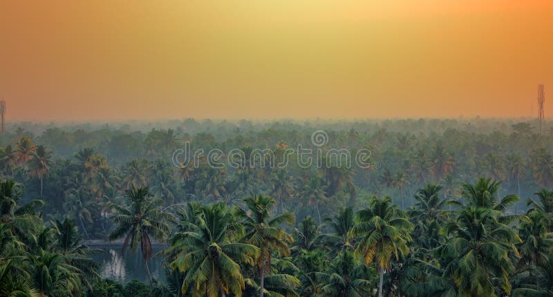 Wildernis tropisch Paradijs bij zonsondergang breed landschap royalty-vrije stock foto Wildernis tropisch Paradijs bij zonsondergang breed landschap royalty-vrije stock foto
