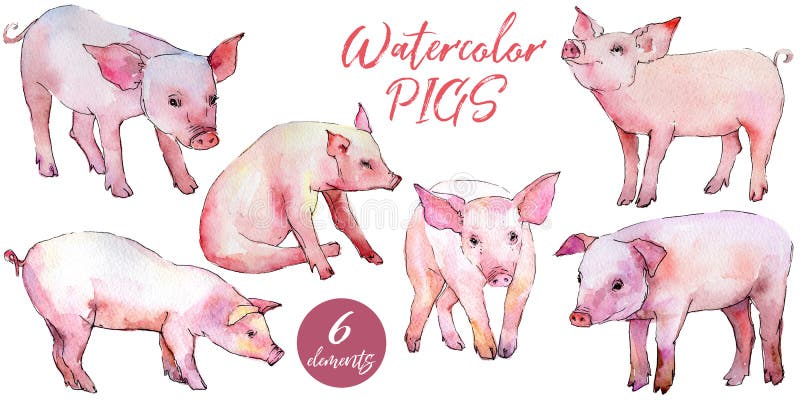 Wildes Tier des Schweins in einer Aquarellart lokalisiert vektor abbildung Wildes Tier des Schweins in einer Aquarellart lokalisiert vektor abbildung