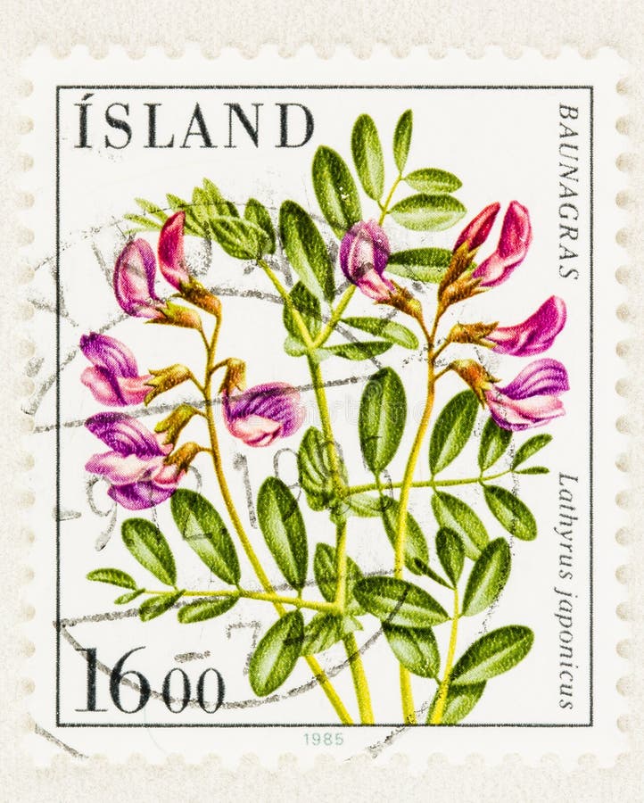 Чина японская. Iceland Post stamp. Post stamp Flower. Liberia Flowers stamps.